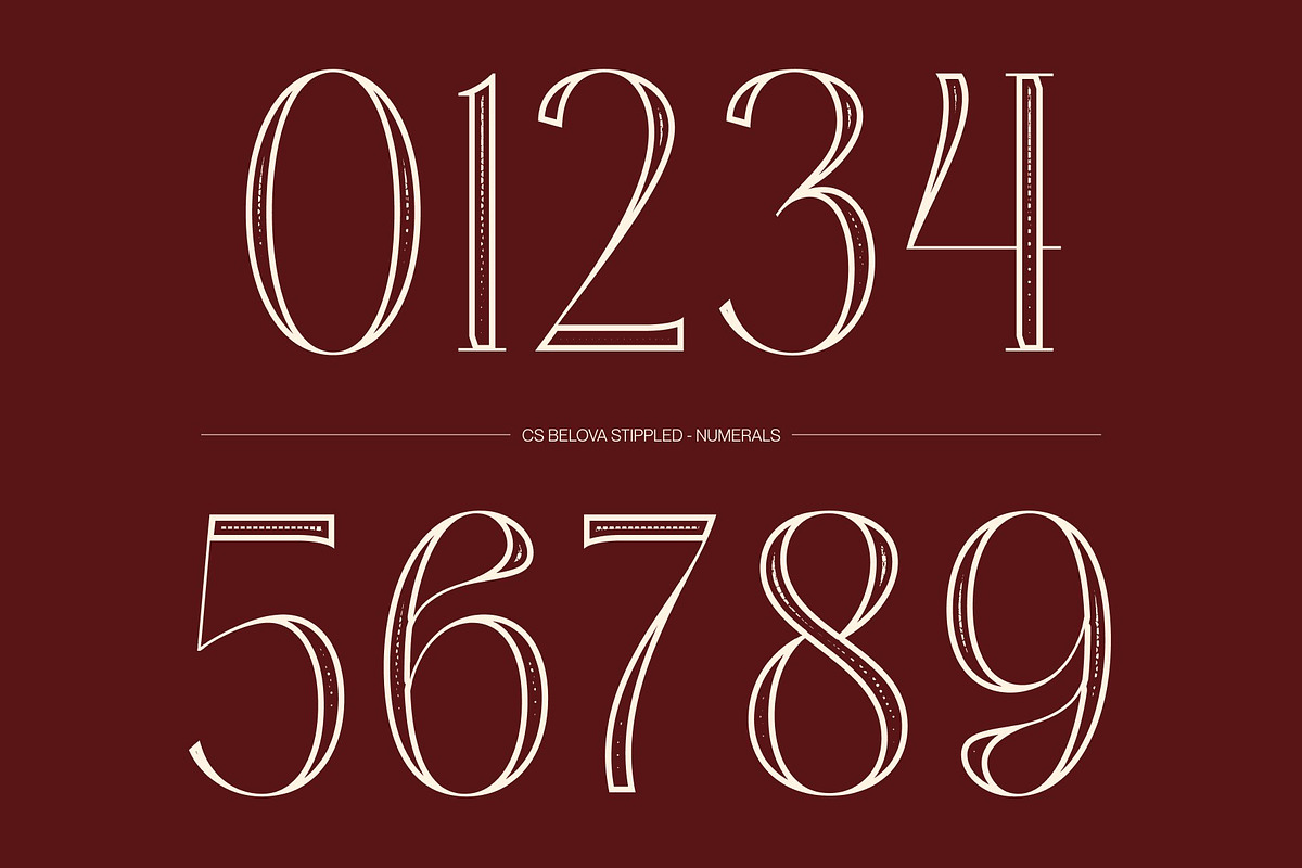 CS Belova Stippled, a Serif Font by Craft Supply Co. (Photo 4 of 8)
