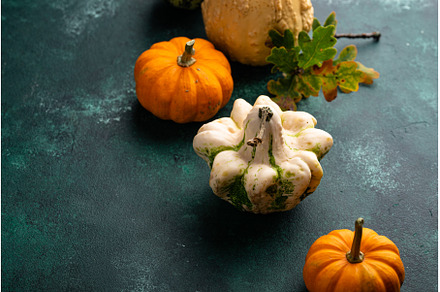 Various decorative pumpkins and dry, a Holiday Photo by Yulia Furman