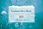Winter Wonderland Lightroom Preset, a Plug-in Add-On by Jana Mänz Photography (Thumbnail 2 of 8)