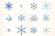 Winter Ice Crystal Pattern Clipart, an Illustration by CrexoraLab (Thumbnail 2 of 5)
