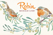 watercolor robin bird clipart, an Illustration by Art & Things (Thumbnail 5 of 10)