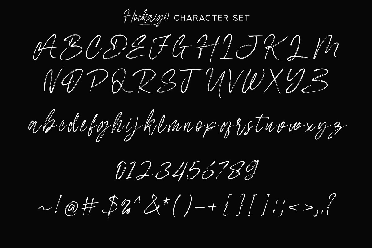Hockaige - Elegant Handwritten Brush, a Handwritten Font by Sealoung (Photo 12 of 12)