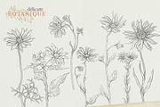 Pencil flowers | delicate drawings, an Illustration by GrafikBoutique (Thumbnail 2 of 9)
