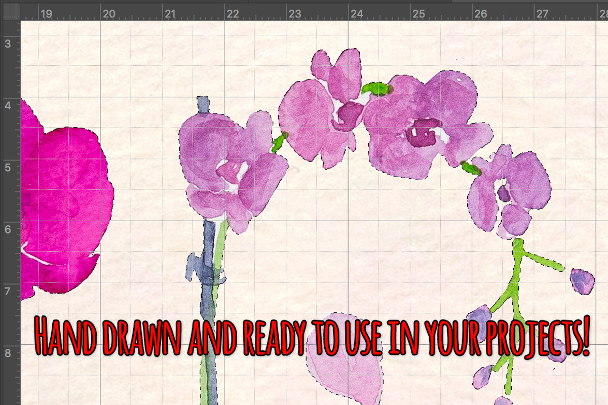27 Pretty Watercolor Orchid Flowers, an Illustration by Violet LeBeaux (Photo 3 of 3)