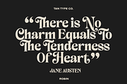 TAN - ROBIN, a Serif Font by TanType (Thumbnail 7 of 11)