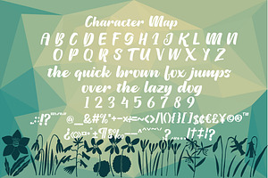 Pinguid Bold Script Fonts