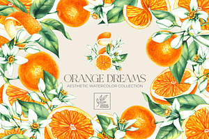 Orange Dreams Watercolor Collection