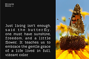 Miracle Mono - Sans Serif Font, a Sans Serif Font by Keithzo (Thumbnail 6 of 8)