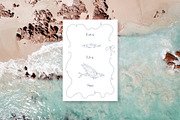 Coastal Line art collection, an Object Graphic by Kreker Kate (Thumbnail 5 of 5)