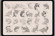 63 koifish Coloring   brush stamp, a Brush Add-On by TaKong Magics (Thumbnail 2 of 4)