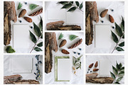 22 Autumn/Winter Flat Lay Photos, a Nature Photo by Helga Wigandt (Thumbnail 3 of 5)