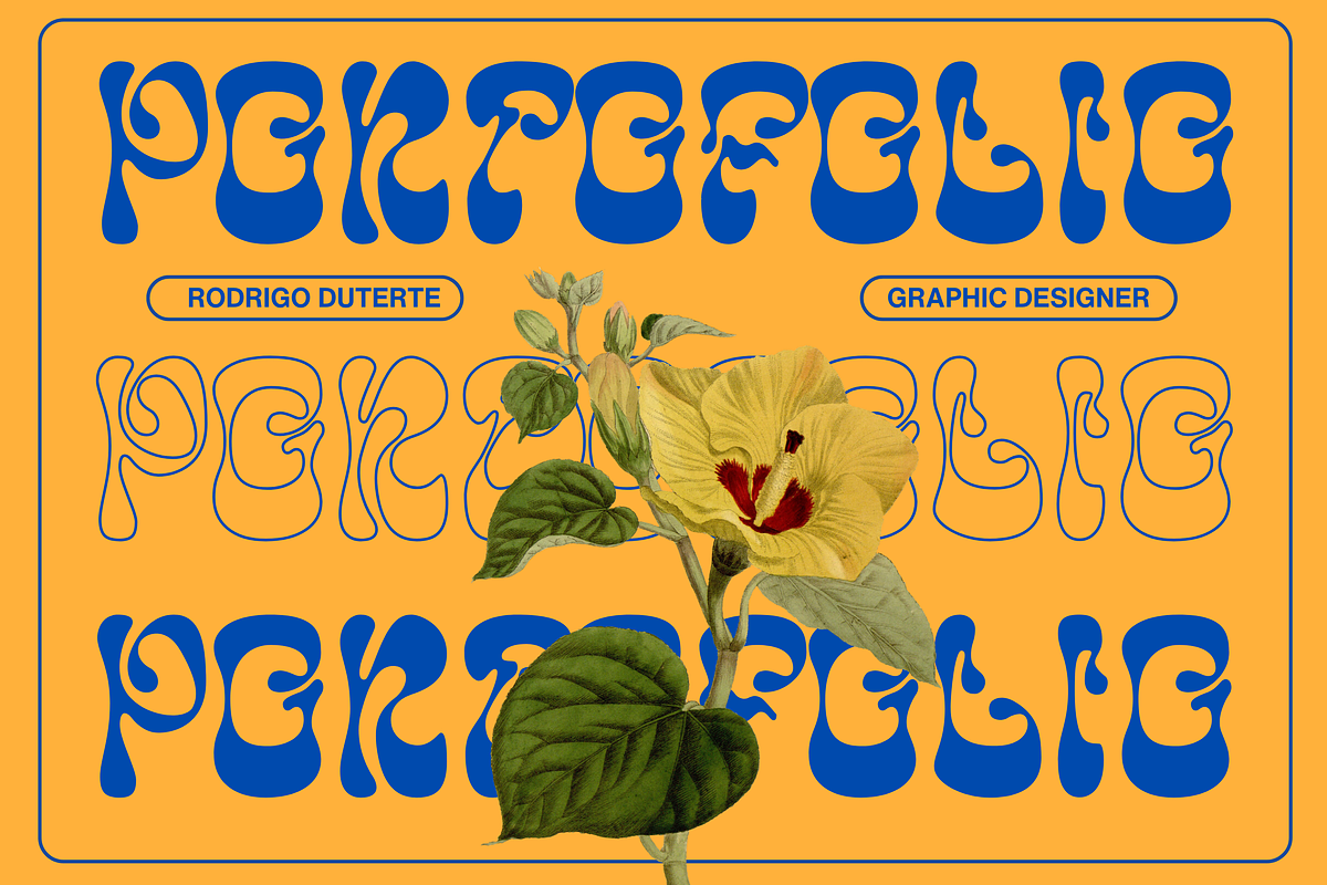 Anglepoise Typeface, a Font by HeyFonts (Photo 11 of 12)
