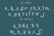 Maerulin – Serif Font, a Serif Font by NDNL Studio (Thumbnail 12 of 13)