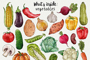 Veggies & greens watercolor clipart, an Object Graphic by Trinibis (Thumbnail 2 of 4)