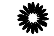 Charming daisy circle decor design, an Illustration by Amazin_art (Thumbnail 12 of 27)