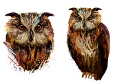 Set owls fineart .4 styles, an Animal Illustration by art_mouse (Thumbnail 5 of 5)
