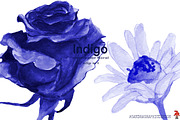Indigo floral clipart, an Illustration by SandraGraphicDesign (Thumbnail 2 of 5)