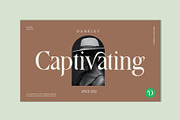 Aquifer, a Serif Font by Damelev (Thumbnail 7 of 15)