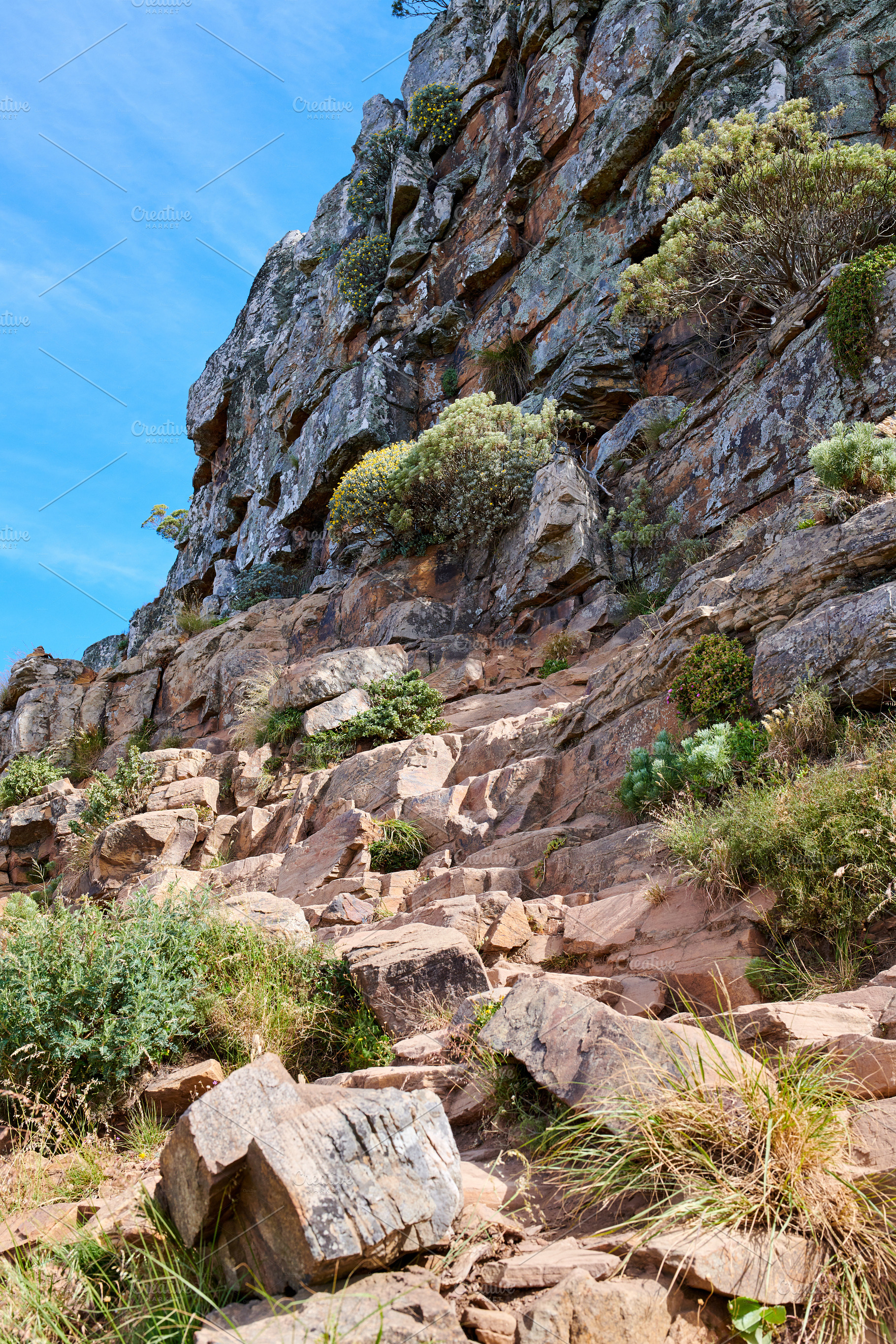 Mountain trails - Lion's Head and Table Mountaion, a Photo by Peopleimages.com