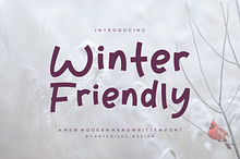Winter Friendly - Font