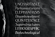 Armoire: Art Deco font family, a Sans Serif Font by Justin Penner (Thumbnail 7 of 8)