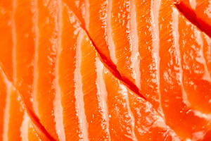 Raw salmon fillet with vibrant orange flesh and white fat lines,, a Photo by Studio ANNA