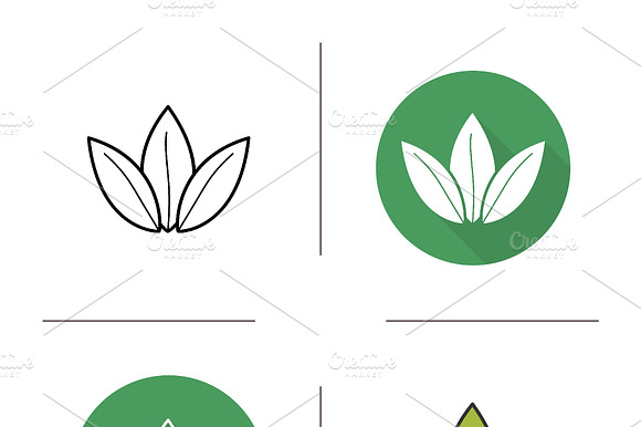 Green Tea Leaves Icons. Vector