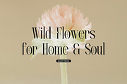 Lequano | New Display Serif, a Serif Font by gracetype_studio (Thumbnail 6 of 12)