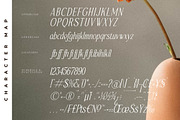 Safilms Crawford Modern Serif Font, a Serif Font by Storytype Studio (Thumbnail 14 of 15)