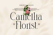 Dringko Elegant Serif Font, a Serif Font by Graphicxell (Thumbnail 5 of 8)