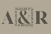 Aurestine Serif, a Serif Font by Typehill (Thumbnail 14 of 14)