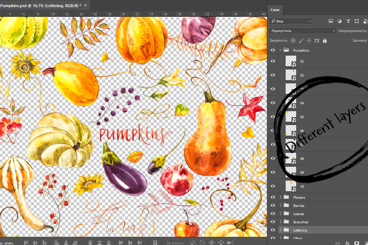 Pumpkins watercolor collection, a Food Illustration by Ann Astro (Photo 7 of 17)