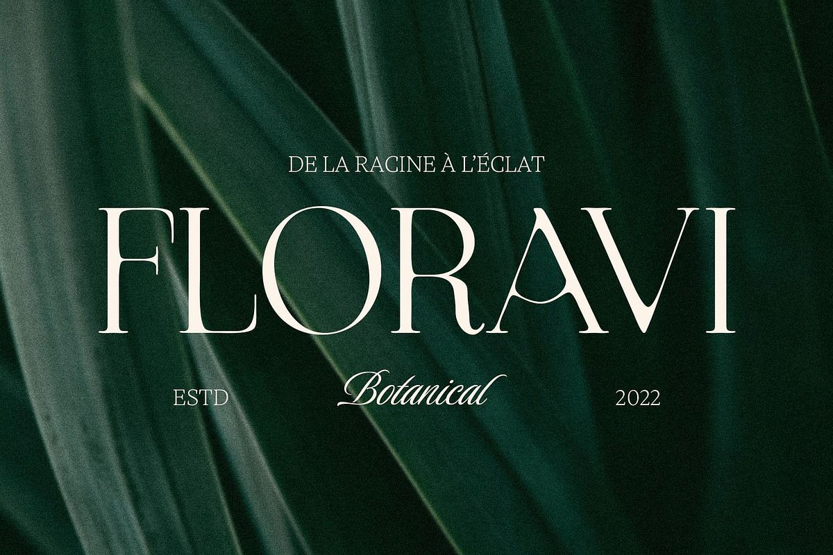 Raena Drawn, a Serif Font by Craft Supply Co. (Photo 2 of 8)