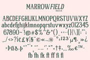 Marrowfield, a Serif Font by deadlock studio (Thumbnail 7 of 9)