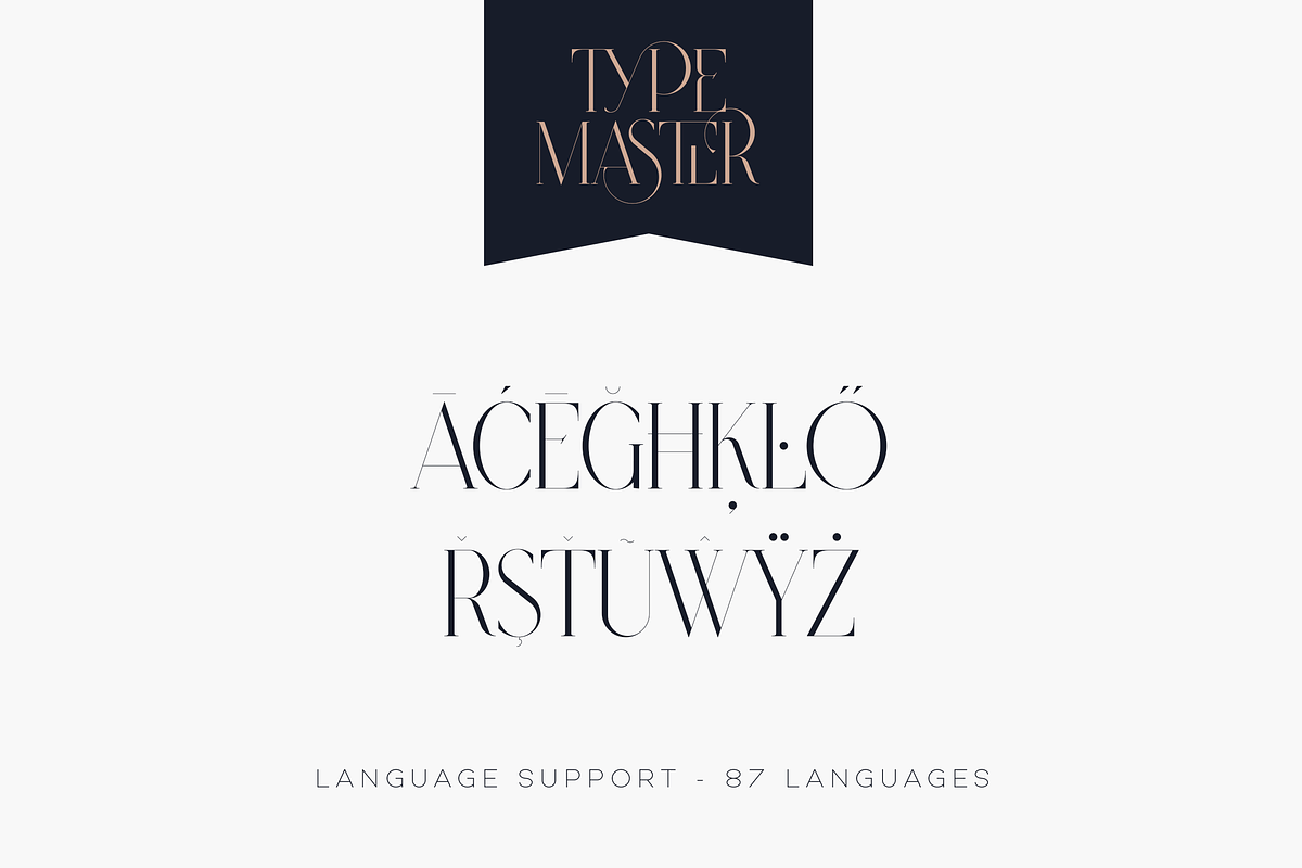 SALE! Type Master - serif font, a Serif Font by VP Fonts (Photo 10 of 24)