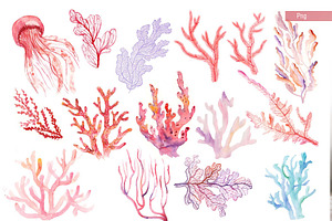 Living Coral