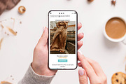 Freedom Blueprint – WP Blog Theme, a WordPress Template by Your Theme Shop (Thumbnail 7 of 9)