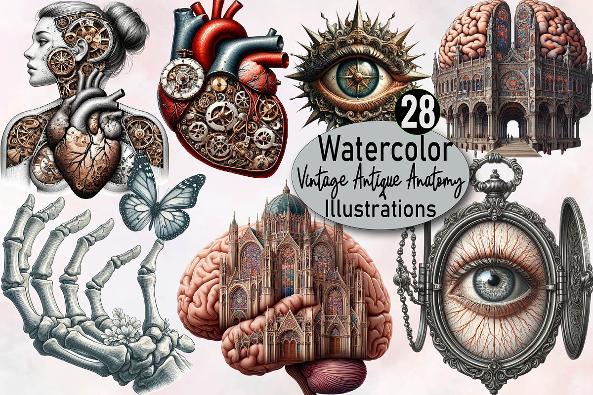 Vintage Antique Anatomy Clipart Bund, an Illustration by SVGArt (Photo 1 of 8)