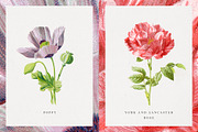 Vintage Flower Illustrations, an Illustration by Greta Ivy (Thumbnail 8 of 8)