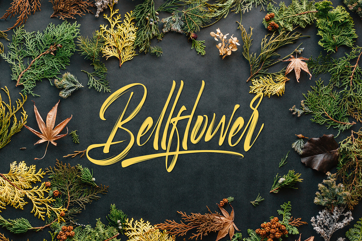 Selfakia Brush Font preview 3