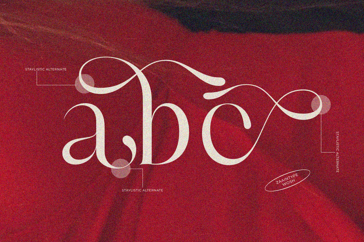 Wosh, a Serif Font by zaaintype (Photo 3 of 12)