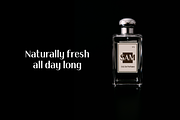 Simple Nib - Elegant Modern Sans, a Sans Serif Font by Attractype (Thumbnail 5 of 8)