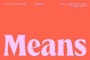 TNSC Means - Heavy Serif, a Serif Font by The Native Saint Club