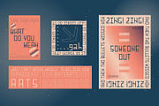 SK Fencer — Modern Display Font, a Font by Shriftovik Type Foundry (Thumbnail 11 of 12)