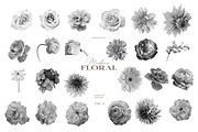 Modern Floral Procreate Brushes V2, a Brush Add-On by Eclectic Anthology (Thumbnail 8 of 11)