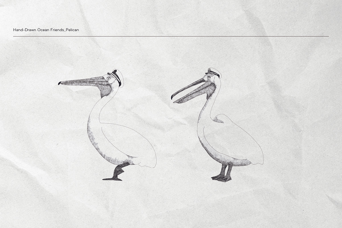 The Seagulls and  Their Sea Friends, an Animal Illustration by Kurakoza (Photo 3 of 18)