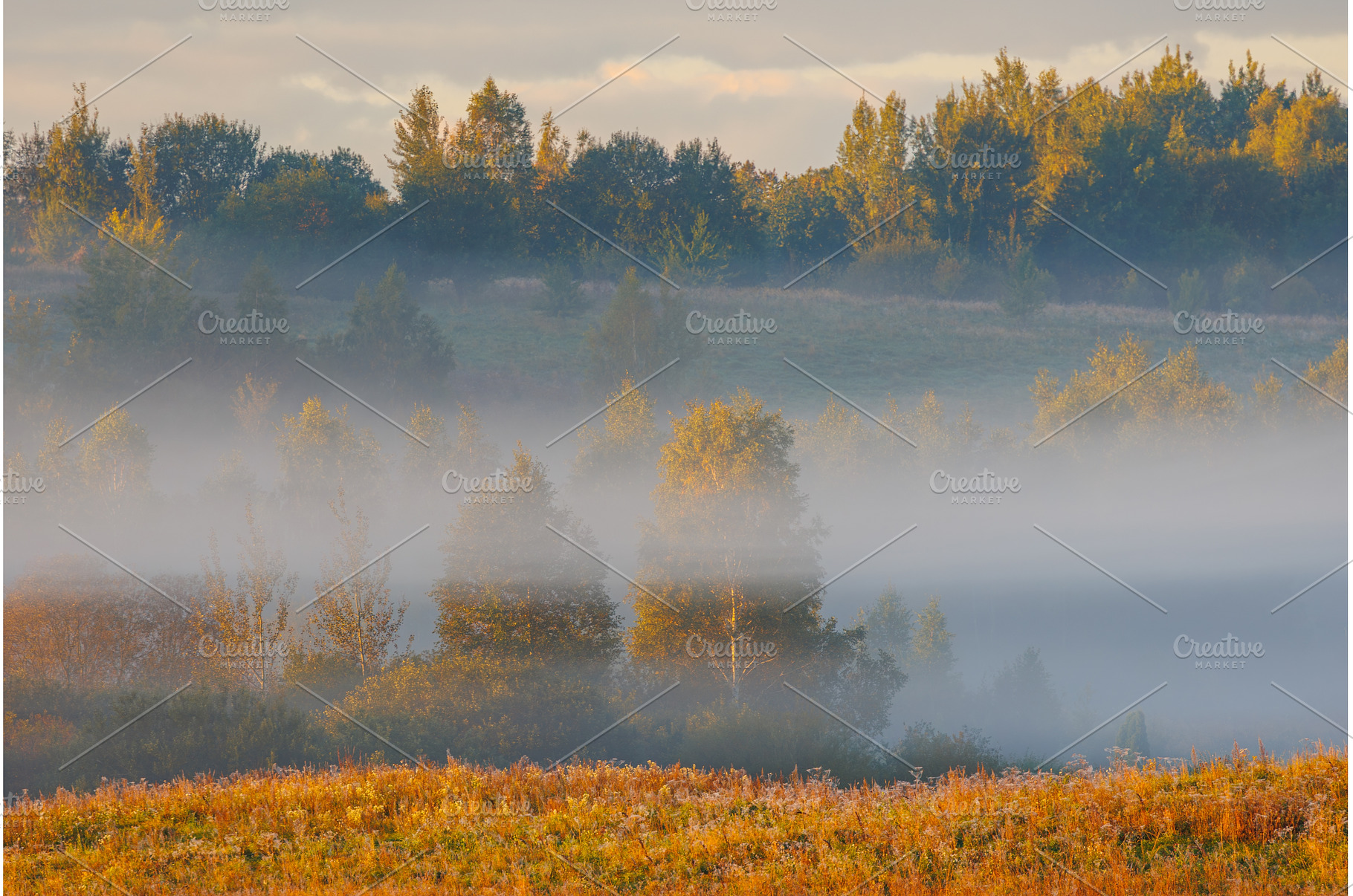 Experience a Serene Misty Morning in, a Nature Photo by Lukas Jonaitis SHOP