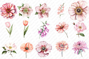 Watercolor Blush Wild Flowers, an Illustration by Watercolor design (Thumbnail 2 of 12)