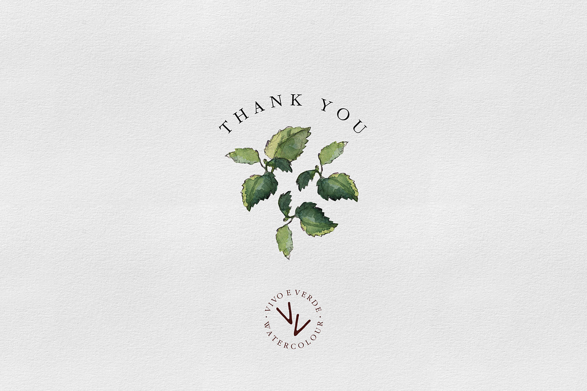Melissa: watercolor floral elements, an Illustration by vivo e verde (Photo 11 of 11)