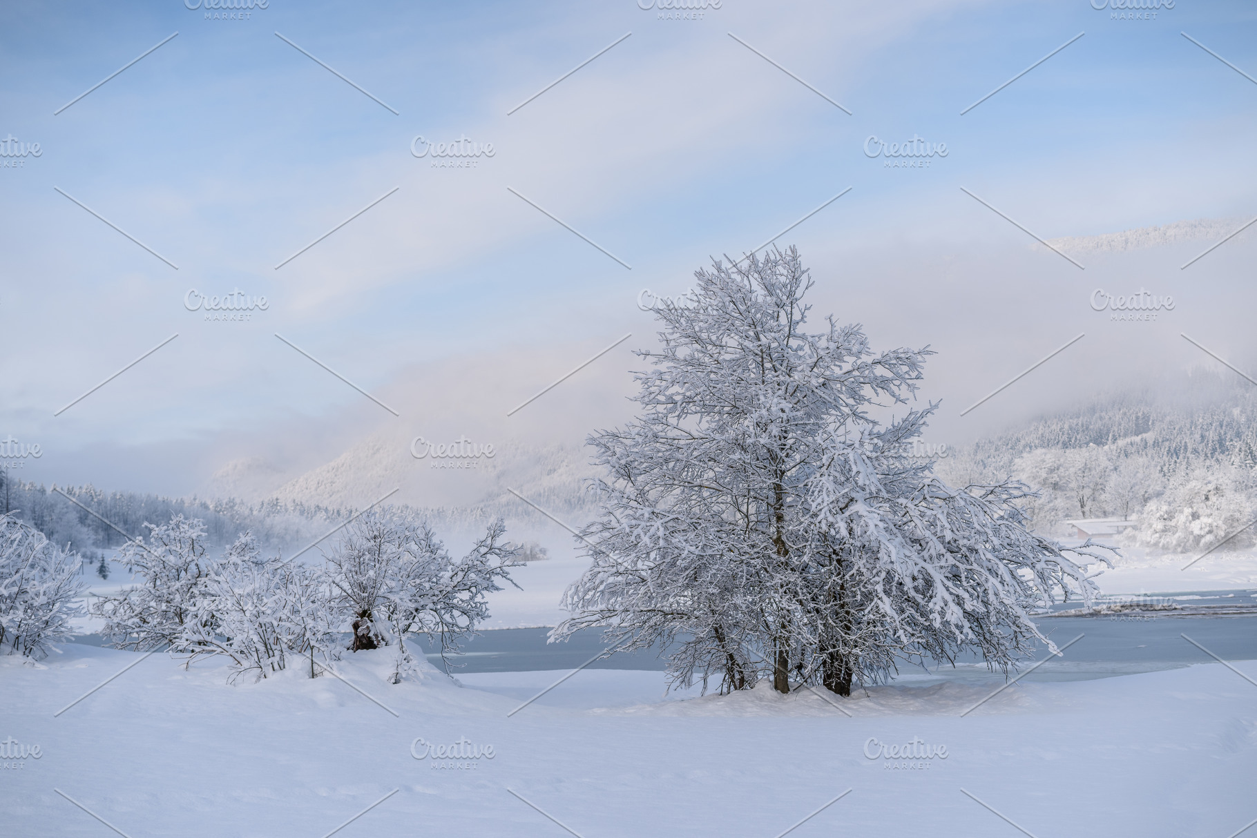 Winter morning in the forest and mountains, a Nature Photo by Dreamy Pixel